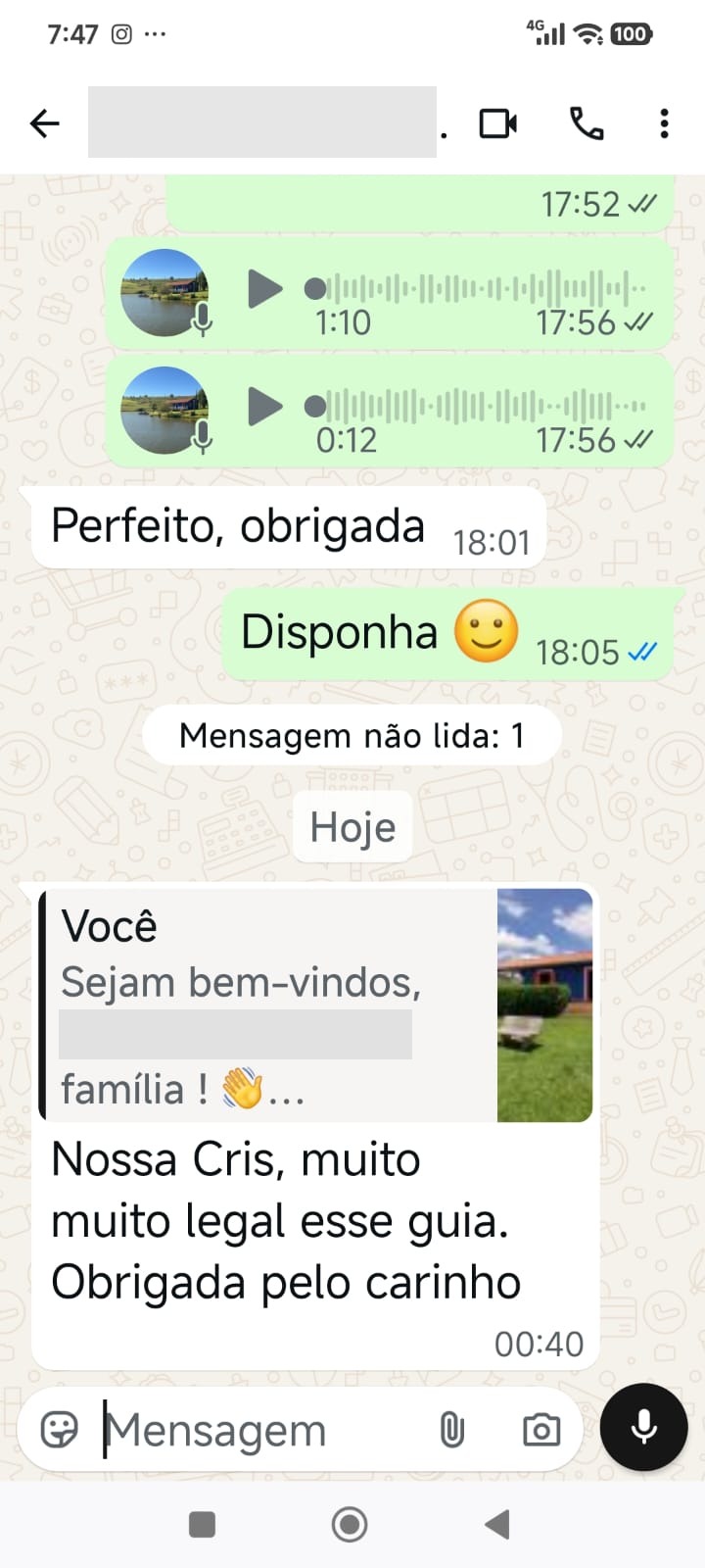 Print de conversa de WhatsApp: uma hóspede da Casinha do Lago escreve 'Nossa Cris, muito muito legal esse guia. Obrigada pelo carinho', logo após receber o link do guia.